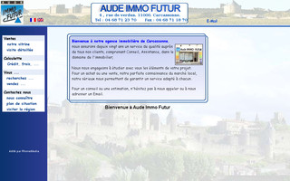 audeimmofutur.com website preview