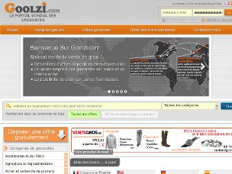 goolzi.com website preview