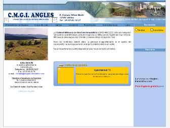 angles-immobilier.com website preview