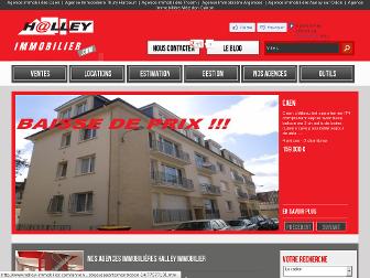 halley-immobilier.com website preview