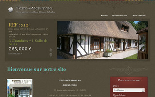 terre-et-mer-immo.fr website preview