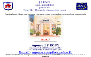 trouville-deauville-immobilier.com website preview