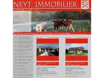 neytimmobilier.com website preview