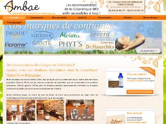 ambae.fr website preview