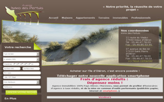 immo-des-pertuis.com website preview