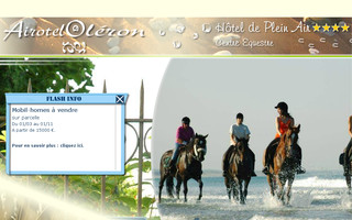 camping-airotel-oleron.com website preview