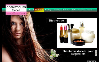 grossiste-cosmetique.org website preview