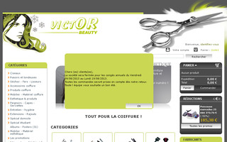 toutpourlacoiffure.fr website preview