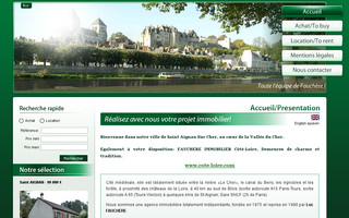 fauchere-immobilier.com website preview