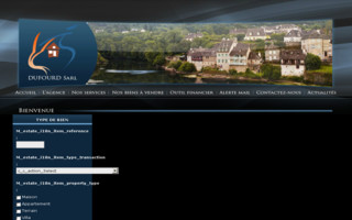 dufourd-immobilier19.com website preview