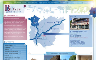 blayez-immobilier.fr website preview