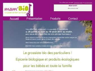 mambio.fr website preview