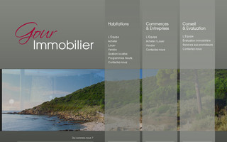 gour-immobilier.com website preview
