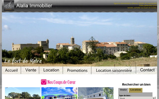 alaliaimmobilier.com website preview