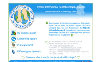 iir-france.fr website preview