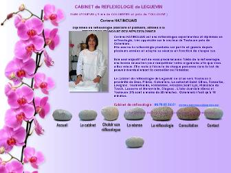 reflexologie-plantaire-toulouse.com website preview