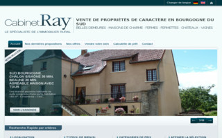 immo-ray.com website preview