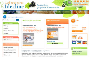 idealine.fr website preview