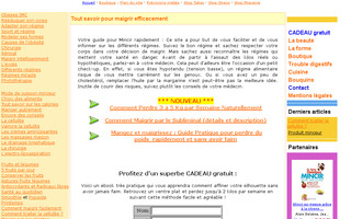 methode-maigrir-facilement.com website preview