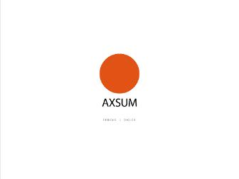 axsum.fr website preview