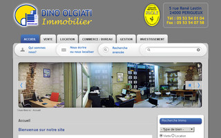 dino-olgiati.com website preview