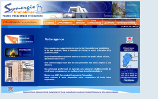 synergie-immobilier.fr website preview