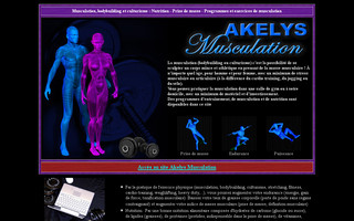 akelys.com website preview