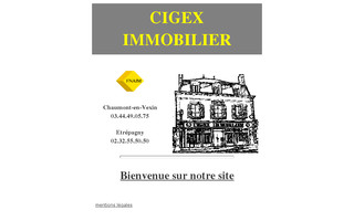 cigex.fr website preview