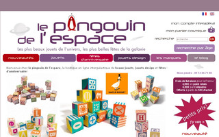 lepingouindelespace.com website preview