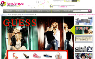 tendancechaussures.com website preview