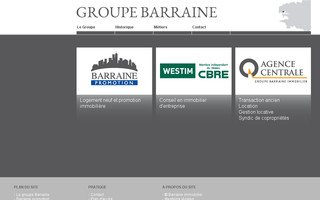 barraine-immobilier.com website preview