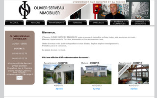 olivier-serveau-immobilier.com website preview