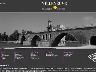 villeneuve-immo.com website preview