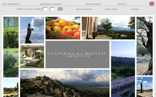 labruyere-immobilier.com website preview