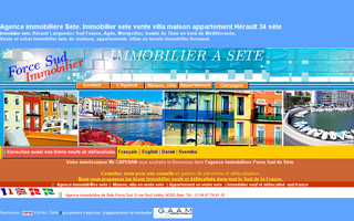 forcesud-immo.com website preview