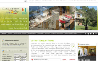caracteresud.com website preview