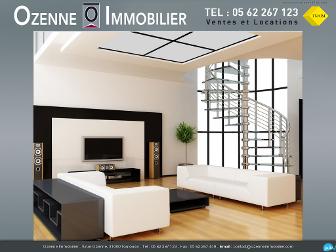 ozenneimmobilier.com website preview