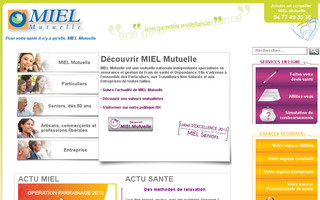 mielmut.fr website preview