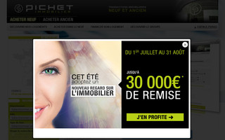 pichet-immobilier.fr website preview
