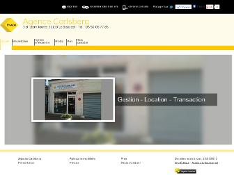 carlsberg-immobilier.fr website preview
