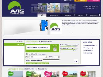 avis-immobilier-saintjeandeluz.com website preview