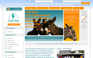 cab-ane.fr website preview