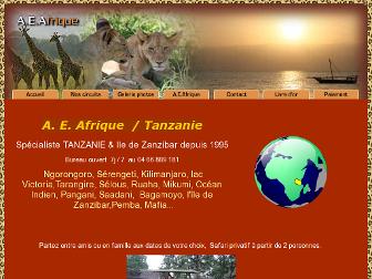 tanzanie-safari.fr website preview