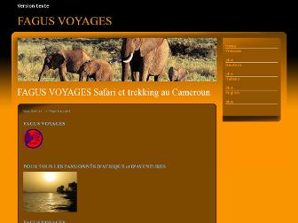 fagusvoyages.eu website preview