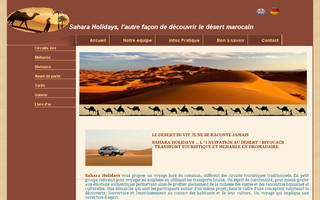 sahara-holiday.com website preview