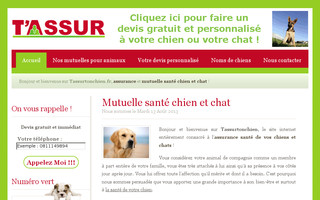 tassurtonchien.fr website preview