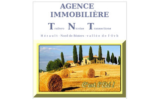 immobilierherault.com website preview