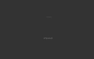 styles.fr website preview