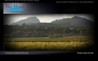 immobilier-castelnau.com website preview