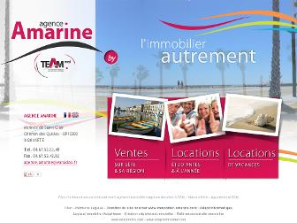 immobilier-amarine.com website preview